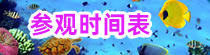 參觀時(shí)間表